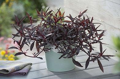 被取消的《古墓丽影：十周年纪念版》重制版画面泄露