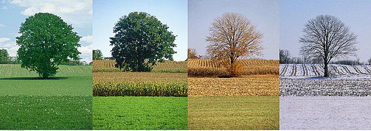 赛车游戏《日本漂移大师》Steam页面上线 支持简中